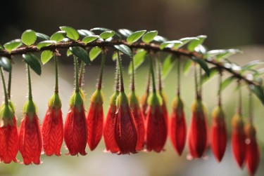 惠州龙门1私人快速借钱网，轻松解决资金难题