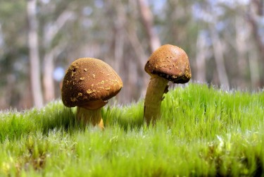 惠州龙门1私人老板放款：轻松融资的秘密通道